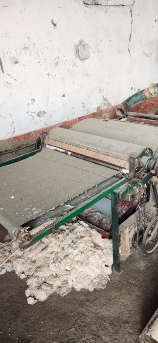 Tin tin stanogi holati alo darajada