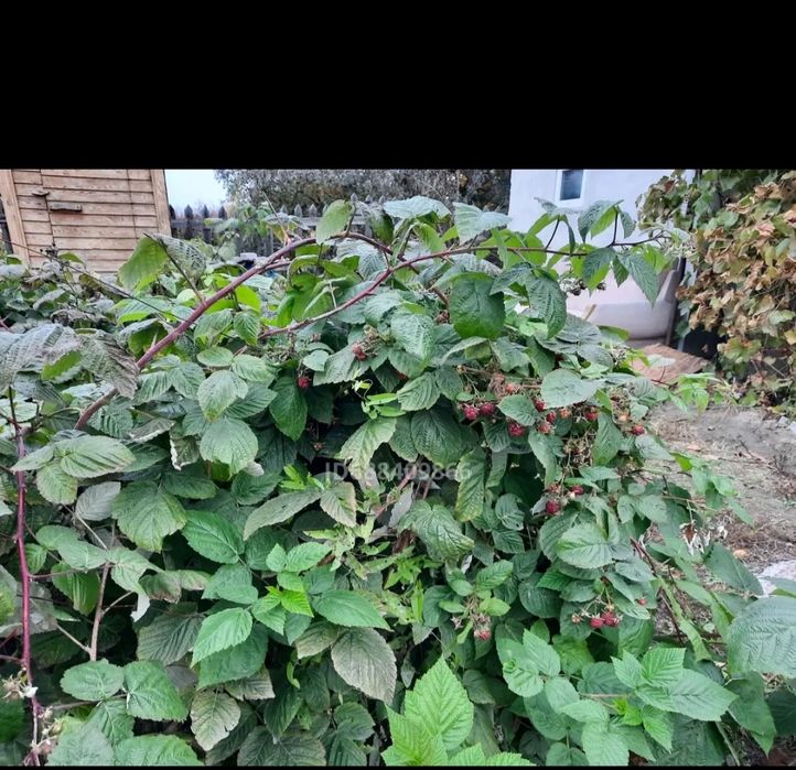 Продам дачу на бобровке