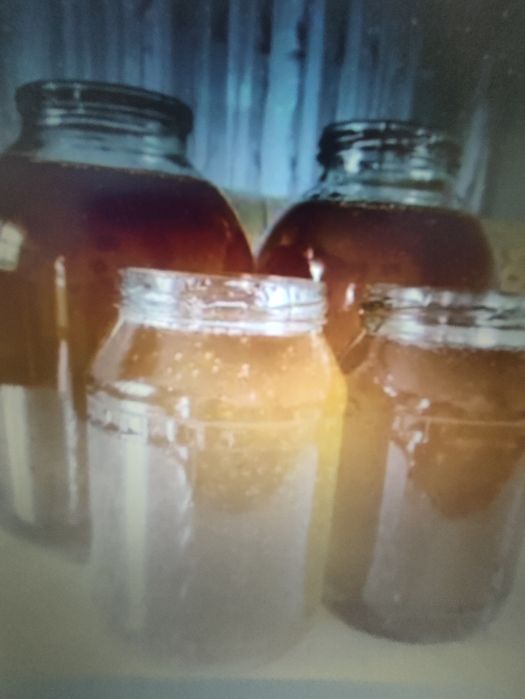 Зомин табиий асали