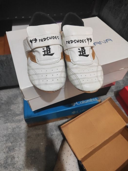 Чешки для тэйквандо