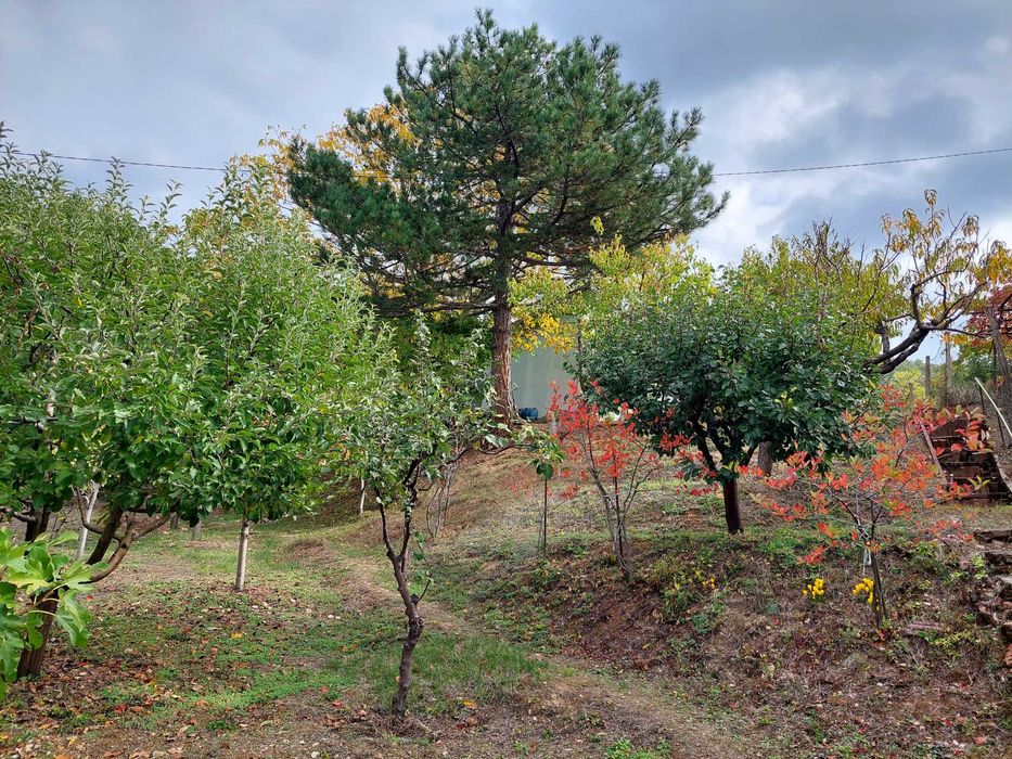 Продавам вила в местността "Роджевото" над "Самолета"