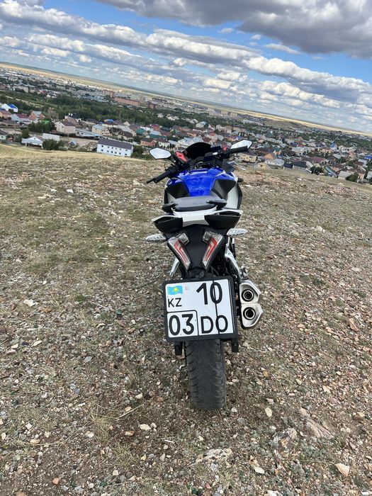 Рейсер Шторм 250