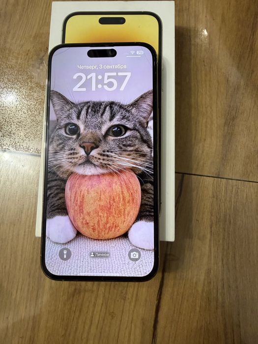 iPhone 14 Pro Max 256 GB