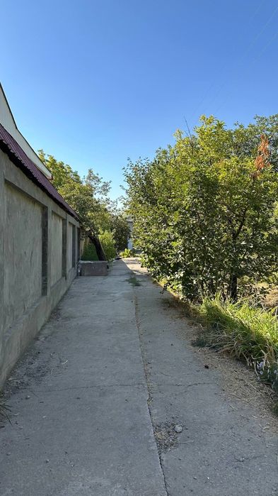 Своя Дача 9,5 сот, прохладная локация у речки Зах арык,за пос. Улугбек