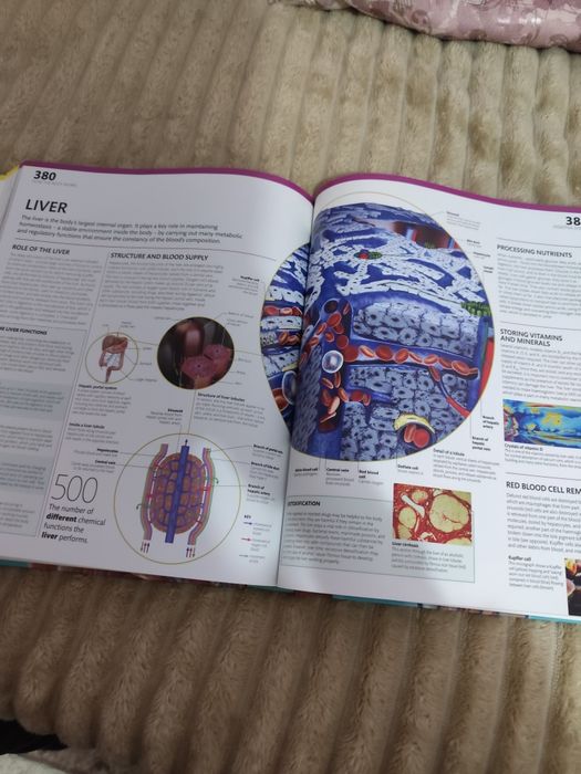 Atlasuri de anatomie