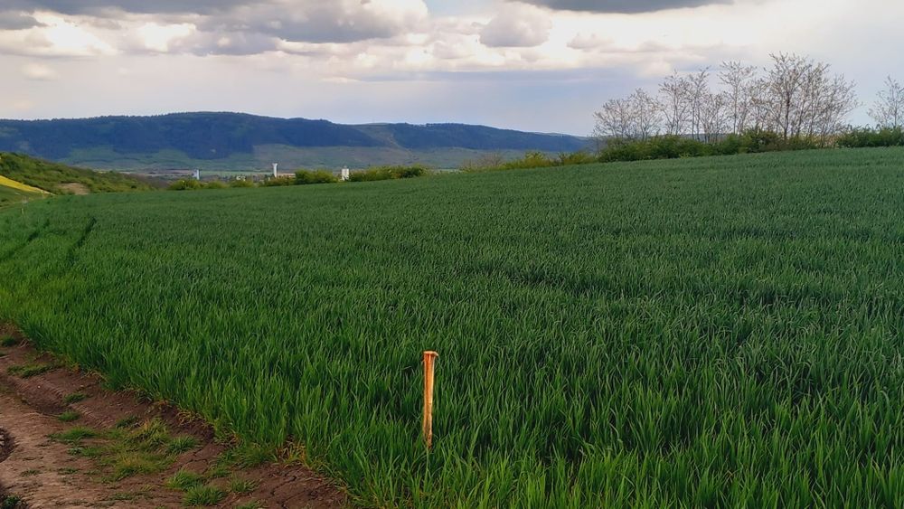 PF. Vând teren in Luna de jos 4,5 hectare,cu C.F