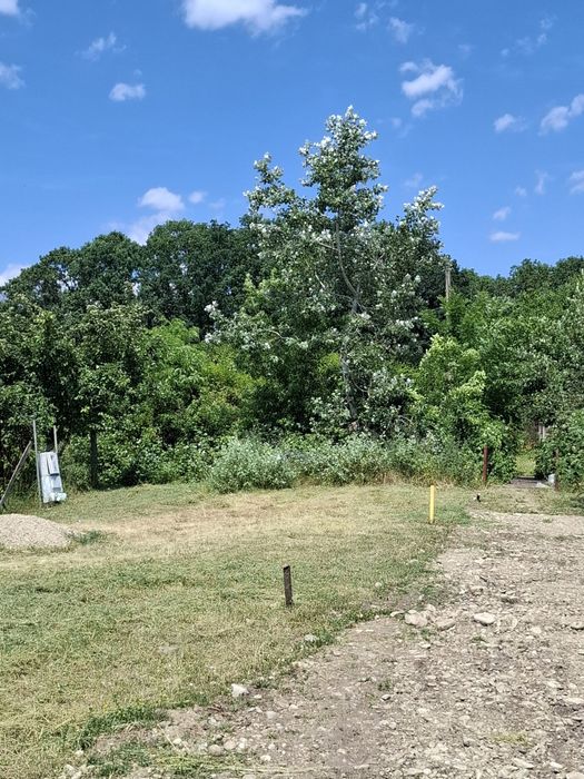 Teren intravilan moreni