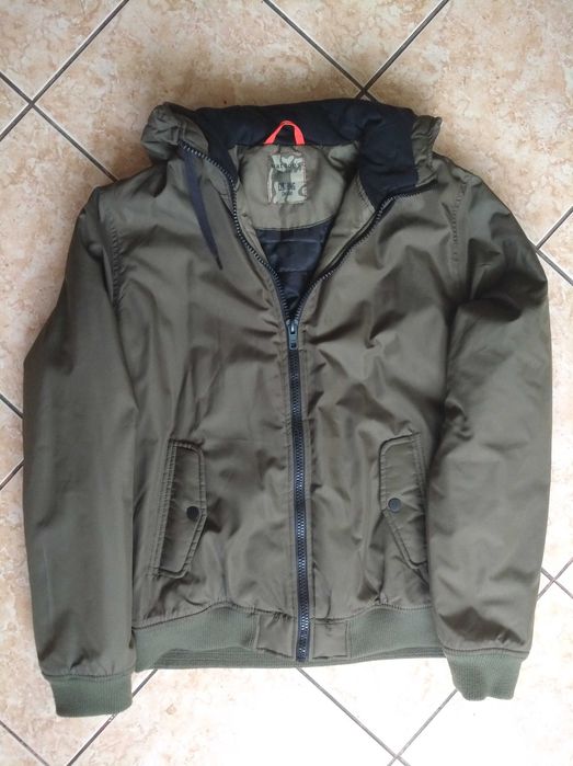 Jacheta Watson's Germania