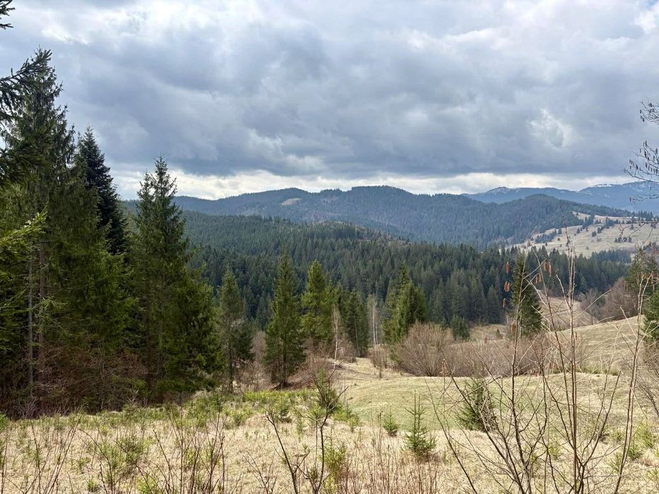 Teren de vânzare 7649 mp - zona Șandru (Bucovina)