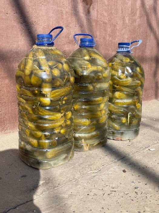 Огурцы соленые .