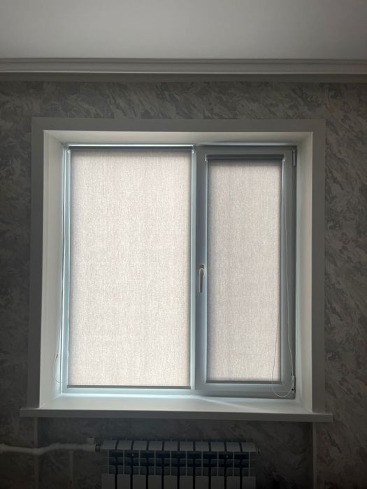 Рол шторы Жалюзи День-ночь
