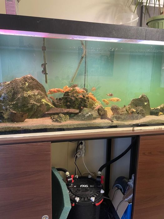 Acvariu 200/60/60 -720 L