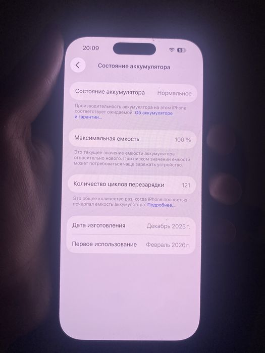 АЙФОН 17ПРО,256,100%