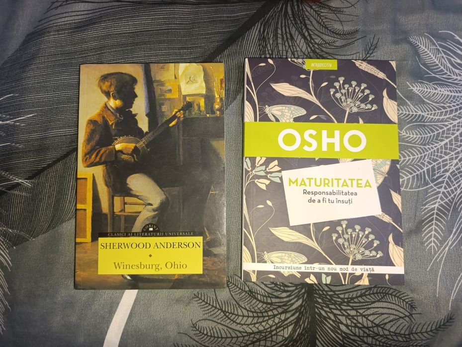 Carti pentru adolescenți (15-20-25 lei)