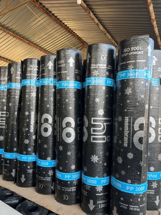 Turkman HICO , Tebegy membrane