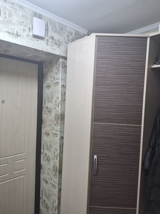 Шкаф для вещей,шкаф для  прихожей