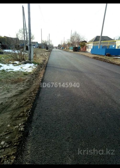 Дом в Затобольске