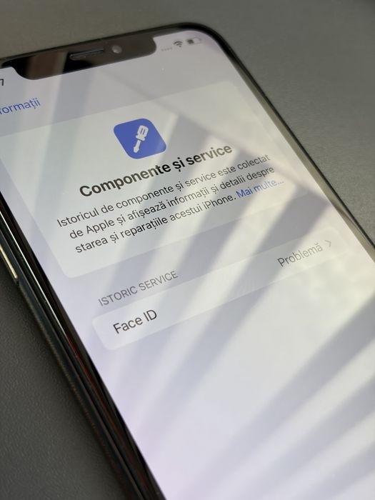 iPhone Xs Max ( 256 gb )