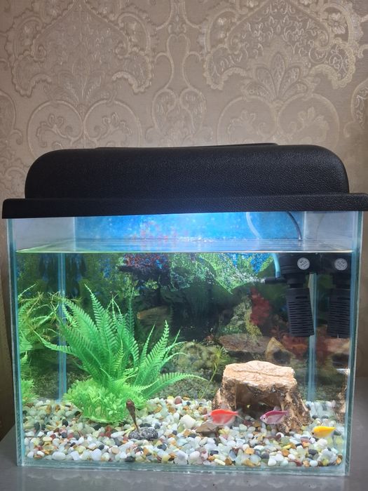 Аквариум 20л (комплектующее+ рыбки)