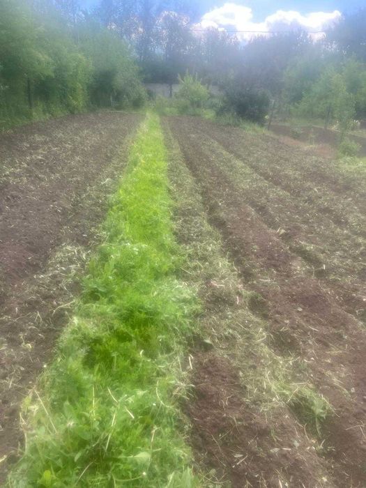 Уборка территорий, очистка участков, дач, придомовых территорий