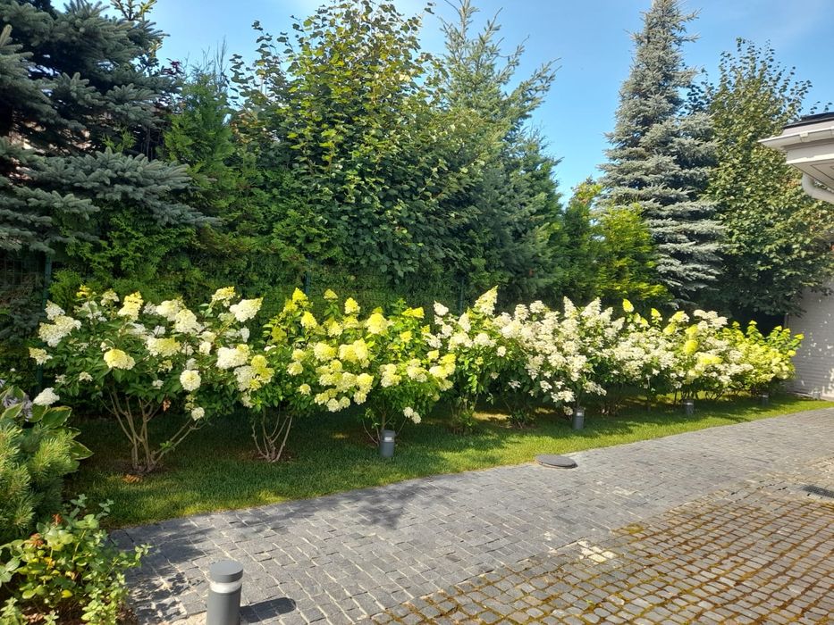 Садовник (ца) с опытом