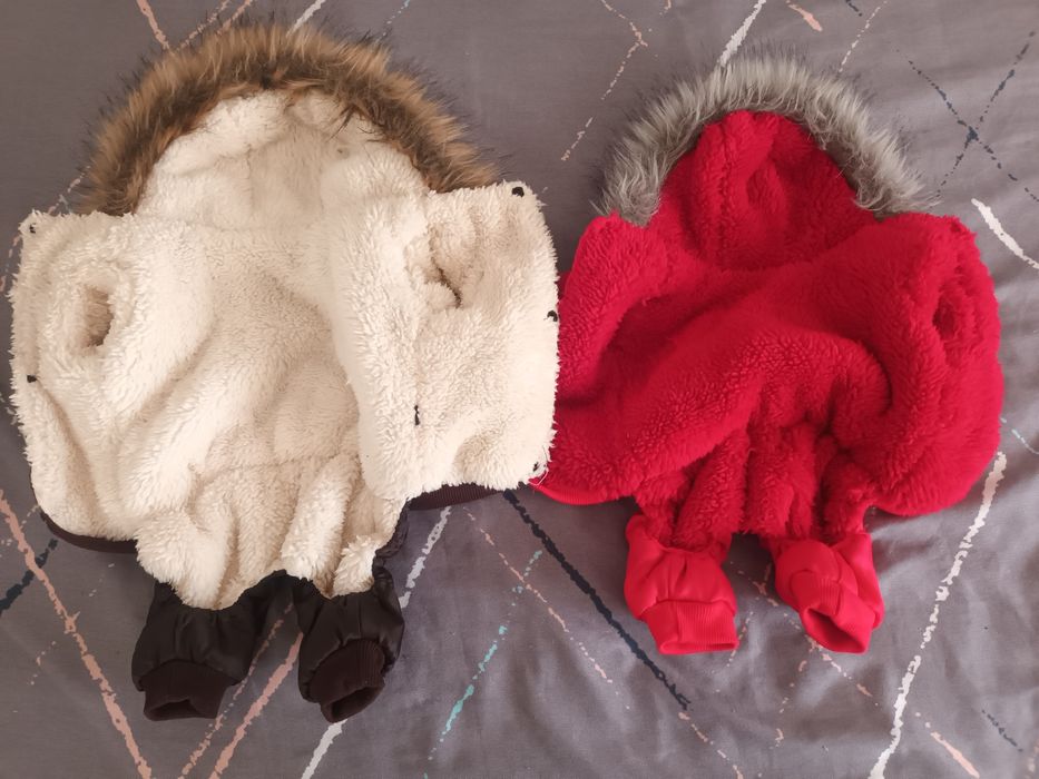 2 geci pentru căței/pisici