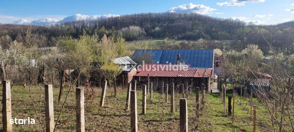 Casă P+M cu 1.558 mp teren, livadă și garaj