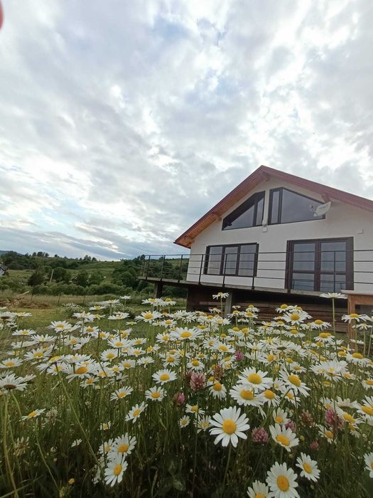 De vanzare Casa noua (2022) cu 3100 mp teren,