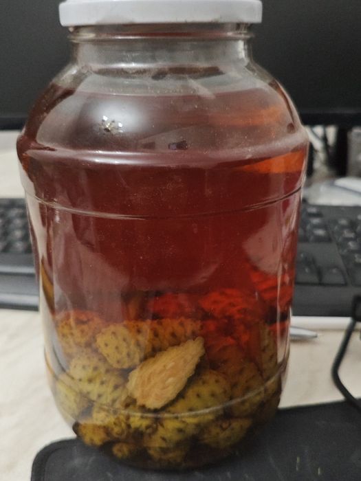 Настойка сосновых шишек
