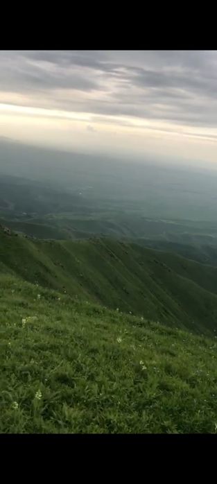 Продается земля .Жайляу 250га