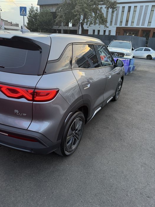 Byd yuan up 2024