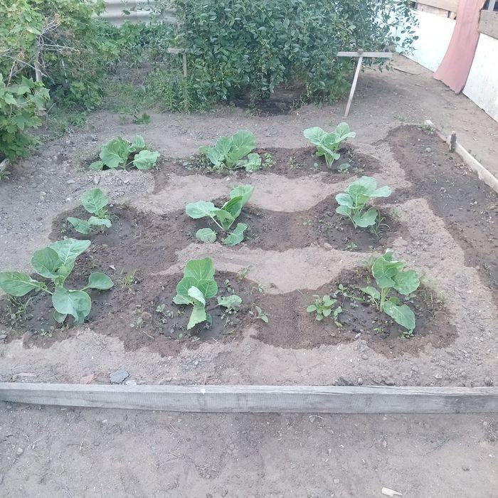 Продам дом в районе Мдс.