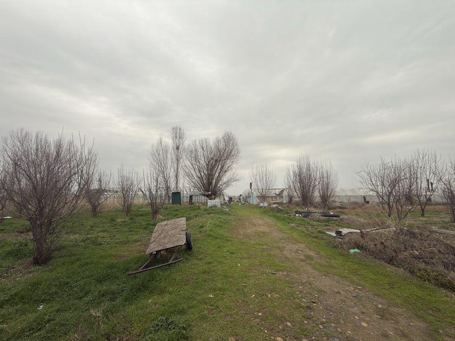 Yer arendaga beriladi