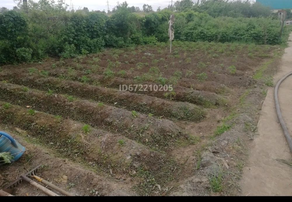 Продам дачу С/К Дорожник