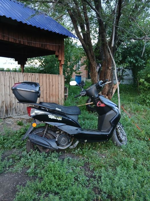 скутер/м м8 2024