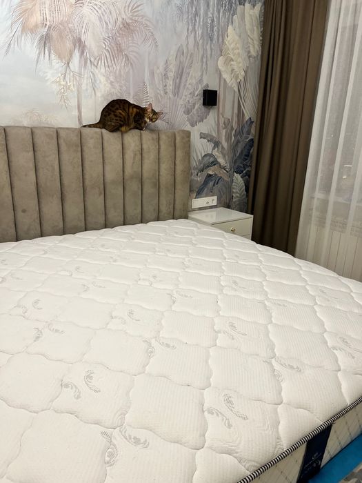 Матрас Askona Serta Orland Park