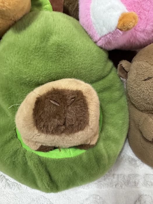 Продам капибар. Семья блин)))