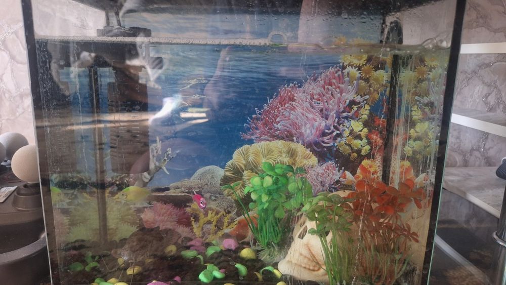 Аквариум , фулл комплект