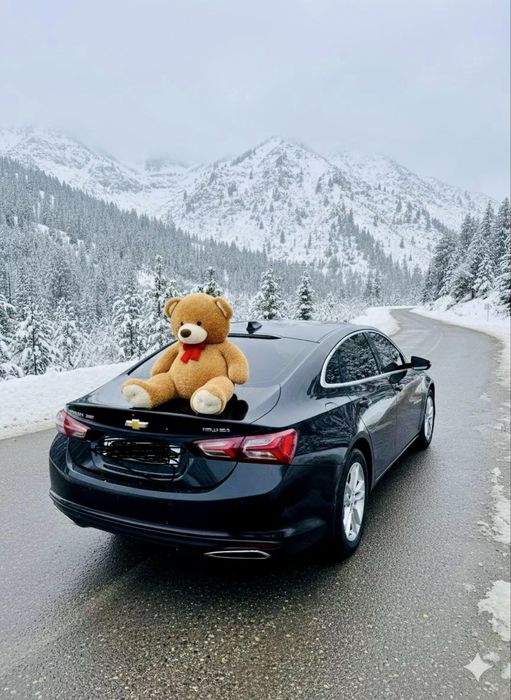 Malibu 2 Turbo Premier