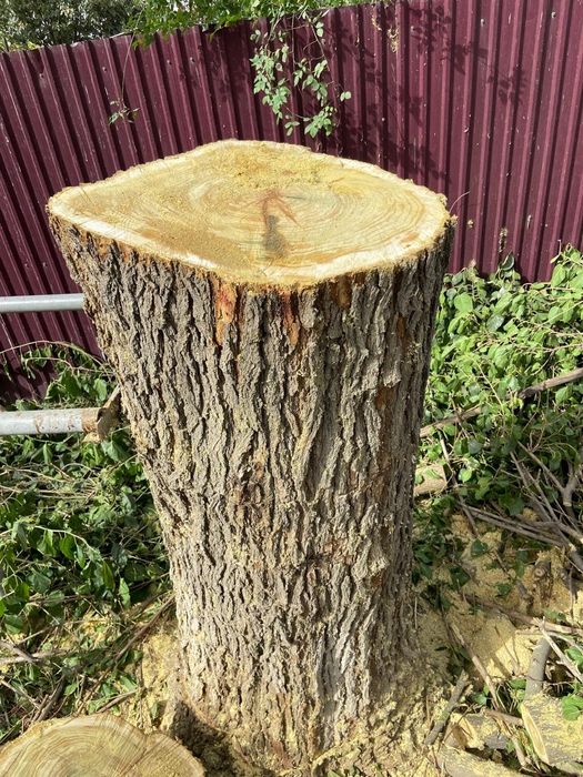 Бревно для рубки мяса Тутовник