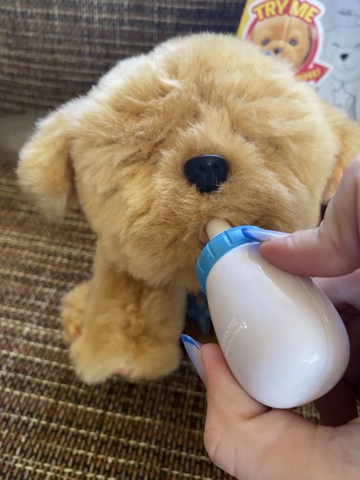 Catel interactiv Little Live Pets