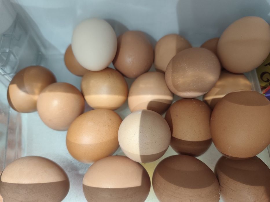 Натуральные яйца