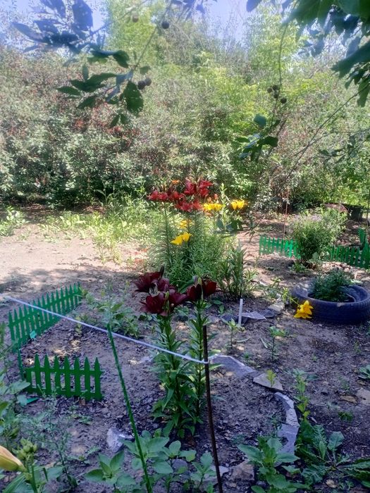 Продам дачу.за дамбой.Металлист