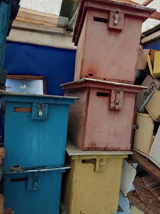 Stupi, rame, lazi, saltelute, colectoare polen