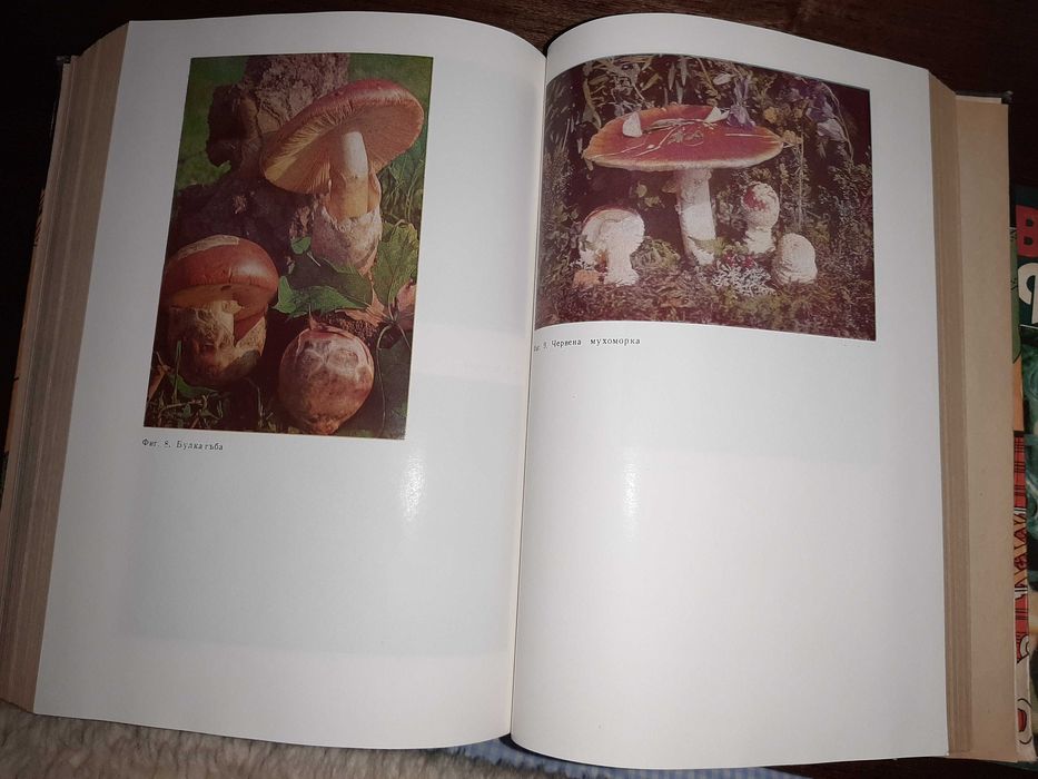 Готварски книги, за домакинството