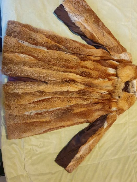 Blana vulpe roșcată