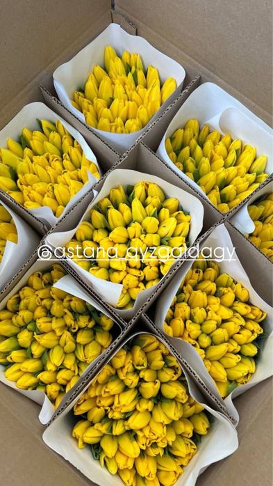 Тюльпаны премиальные