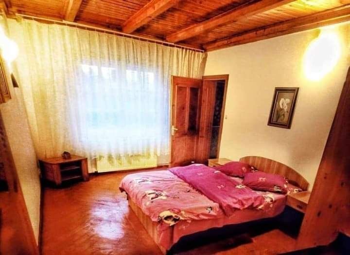 Închiriez vila Paște