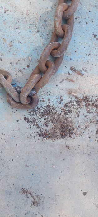 Шынжыр сатамын итке т.б