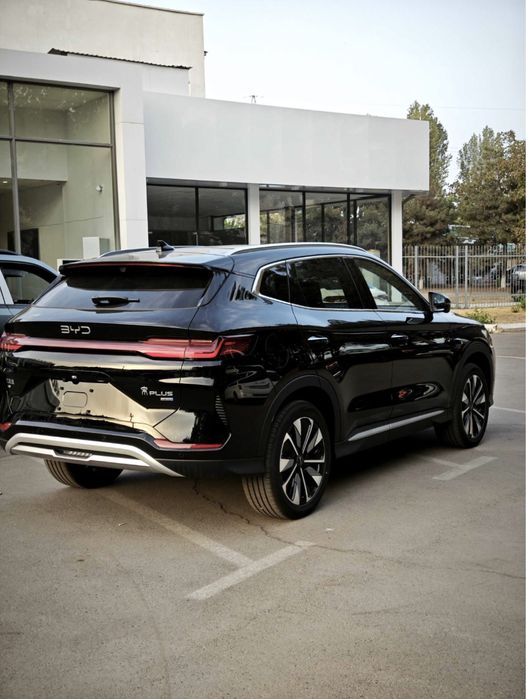 Byd chempion qora 605 km